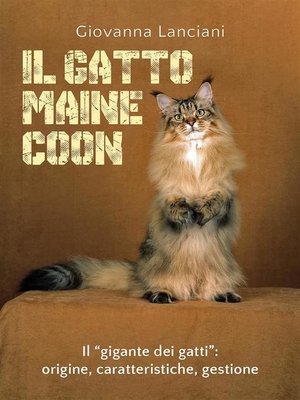 cover image of Il gatto Maine Coon